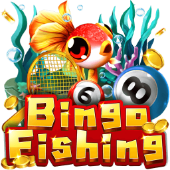 Câu Cá Bingo x98